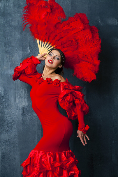 Woman traditional Spanish Flamenco dancer dancing in a red dress - Foto, afbeelding