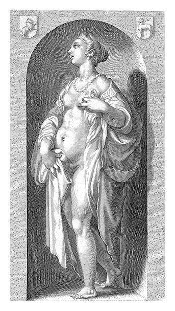 Personificação da luxúria, retratada como uma figura feminina semi-nua, em pé em um nicho. - Foto, Imagem