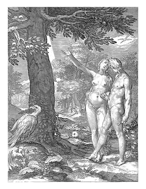 Adem ve Havva cennette. Havva Adem 'e iyi ve kötünün bilgisini gösterir. Ağacın yanında bir yırtıcı kuş.. - Fotoğraf, Görsel