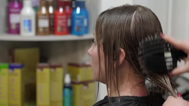 Barber handen kammen vrouwen bruin haar in kappersschoonheidssalon. Modestijl in kapperszaak, close-up - Video