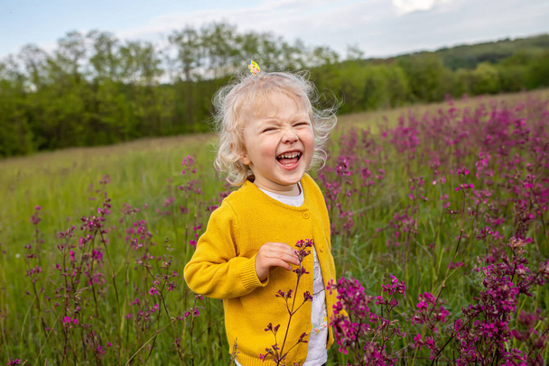 Zabawna dziewczynka śmieje się wesoło zamykając oczy z przyjemności. Dziecko na polu wśród różowych kwiatów Viscaria vulgaris, lepka mucha lub małż campion, Lychnis viscaria - Zdjęcie, obraz