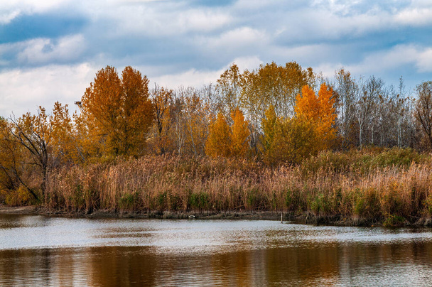 Podzimní den.Břeh řeky.Suchá tráva na břehu.Podzimní stromy na břehu s barevnými listy.Modrá obloha s bílými mraky.Kopírovat prostor. - Fotografie, Obrázek