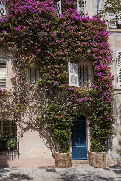 House covered with beautiful flowers in the middle of summer - August 2022, France                                - Photo, Image