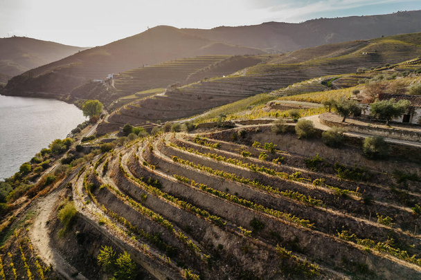 Вид с воздуха на долину Дору. Виноградники и ландшафт рядом с Пинхао, Португалия. Осень для путешествий по Португалии и самым красивым местам. - Фото, изображение