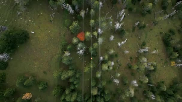 Top Kable kolejki linowej z lotu ptaka nad zielonym lasem w Andorze, w środku Pirenejów, w Andorze. Wysokiej jakości materiał 4k - Materiał filmowy, wideo