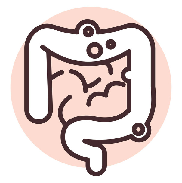 Medical intestins, illustration or icon, vector on white background. - Вектор, зображення