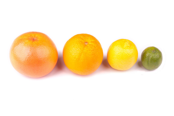 citrus fruit - Photo, image
