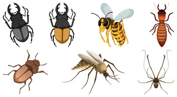 Különböző rovarvektorok illusztrációjának gyűjteménye - Vektor, kép