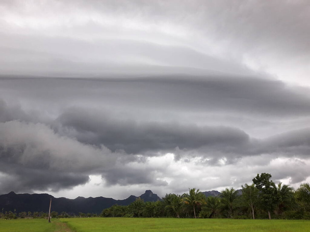 Gray Cumulonimbus cloud formations on sky above mountain, Nimbus moving with rice field,  Arcus cloud rolling in the storm with Appearance of rain cloud,  Meadow plant green while rain falling - Fotó, kép