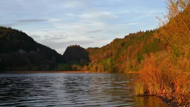 Coucher de soleil sur la rivière. Temps réel du paysage. Scène tranquille de montagne, d'arbres et de ciel en automne. Vallee de Joux, canton de Vaud, Suisse - Séquence, vidéo