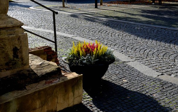 Una ciotola di fiori grigi è un vaso da fiori a profilo piatto con piante perenni fiorite in una piazza o in una strada in un parco. barriera stradale da acciaio, cemento, salvia, erica - Foto, immagini