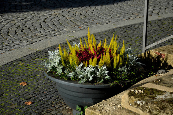 灰色の花のボウルは、正方形または公園内の通りに開花多年草を持つ平らなプロファイルの花の鉢です。鋼、コンクリート、セージ、ヘザーからの道路の障壁 - 写真・画像