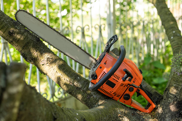 Chainsaw on wooden stump or firewood. Cut tree machine wide banner, or copy space for text. - Photo, Image