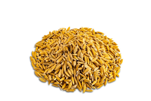 High angle view closeup pile of paddy rice isolated on white background with clipping path. - Valokuva, kuva