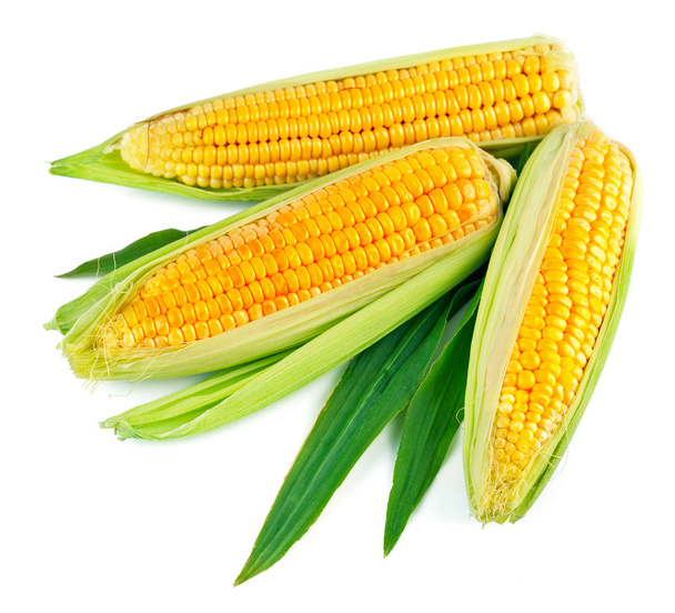 Свіжа кукурудза з зеленим листям
 - Фото, зображення