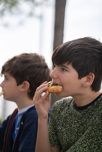 Close up portrait of boys sitting on a bench in park and eating a chocolate biscuit. side view. - Photo, image