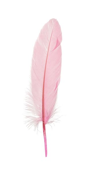 Beautiful delicate pink feather isolated on white - Fotoğraf, Görsel