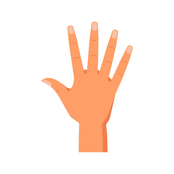 Doigts levés montrant le numéro cinq, geste isolé de la main énumération ou comptage à l'aide du bras. Signes de communication non verbale. Vecteur en style plat - Vecteur, image