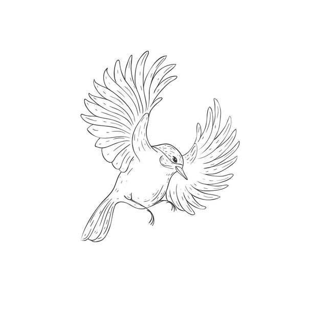 Flying Titmouse Bird on the White Background. Vector Illustration. - Vettoriali, immagini