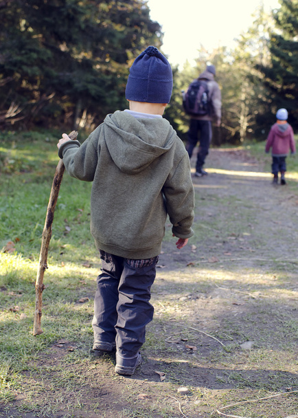 παιδί περπάτημα στο δάσος - Φωτογραφία, εικόνα