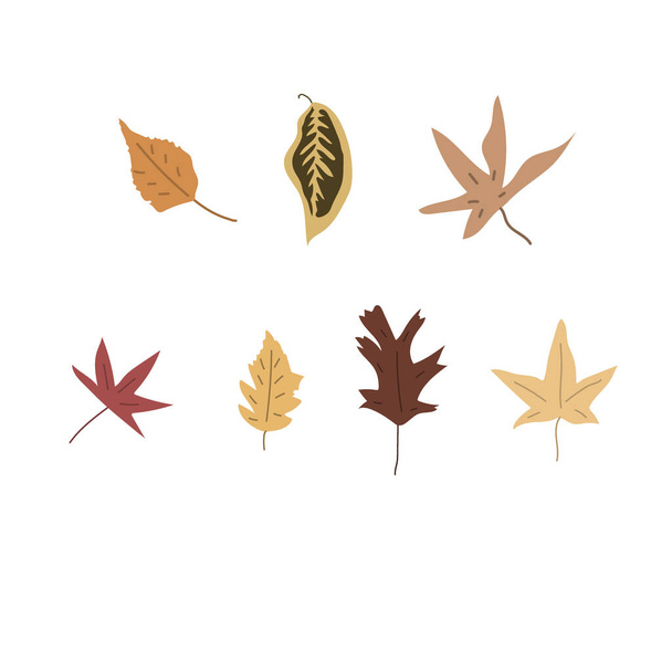 Simples Abstrato mão desenhada e doodle folhas Outono Botânico Natureza contemporâneo moderno moderno vetor Elementos ilustração sobre fundo branco. - Vetor, Imagem