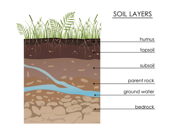 地下水と土壌層図。地質学地下情報学。草、根、石、腐植、砂、石でスキーム。セクション内の土地。鉱物粒子。教育図 - ベクター画像