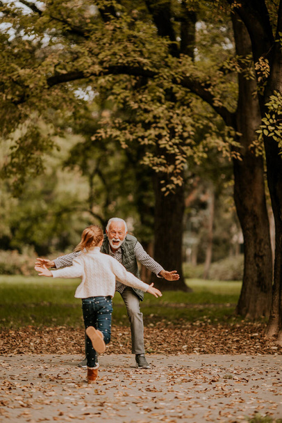 Hezký dědeček tráví čas se svou vnučkou v parku na podzim - Fotografie, Obrázek