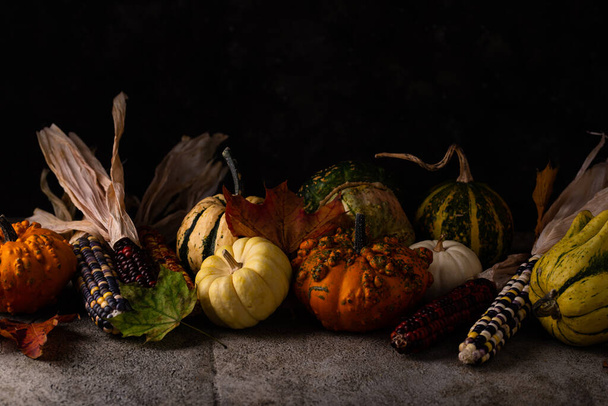 カボチャと色のトウモロコシと秋の静物画。秋の背景 - 写真・画像