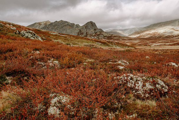 autumn mountain landscape of Rondane National Park in Norway, trail from Smuksjoseter Fjellstue to Peer Gynt hytta - Photo, Image
