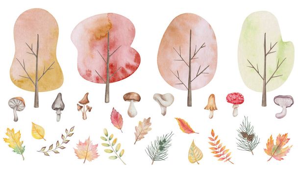 Watercolor illustration of hand painted trees with leaves, mushrooms champignon, flybane, fungus. Forest, woodland, park plant. Autumn foliage. Isolated fall clip art for textile prints, posters - Foto, immagini