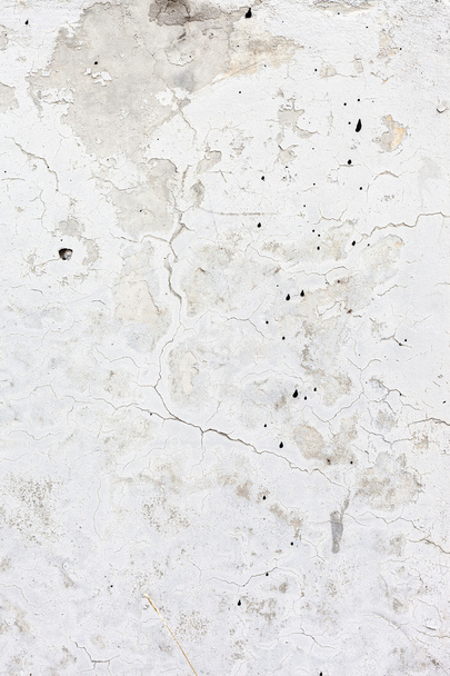 Grungy white concrete wall background - 写真・画像