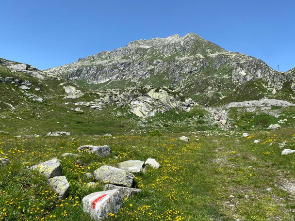 Turistická stezka nebo horské stezky v letním alpském prostředí a v horském průsmyku sv. Gottharda, Airolo - kanton Ticino (Tessin), Švýcarsko (Schweiz) - Fotografie, Obrázek
