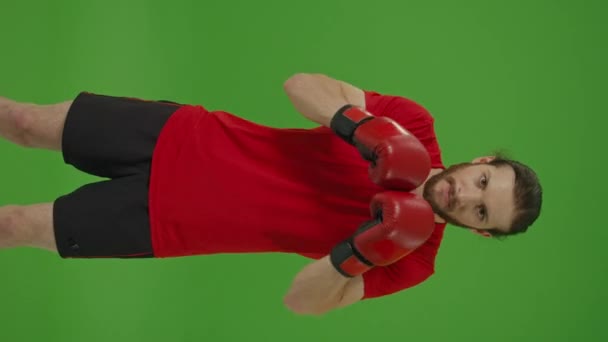 垂直ビデオ,垂直ビュー.グリーン画面上のカメラにまっすぐにファイティンググローブでボクシング演習を作る若い怒っているプロのひげ戦闘機の肖像画,クロマキー.スポーツコンセプト. - 映像、動画