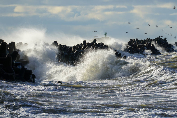 De hautes vagues s'écrasent contre les tétrapodes de béton du brise-lames du port par temps orageux - Photo, image