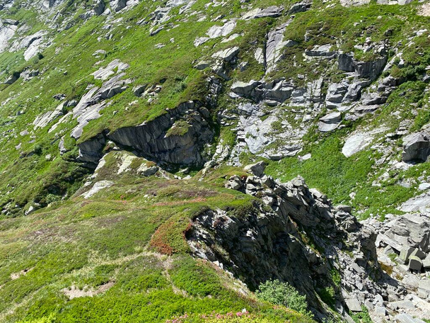 スイス・ティチーノ州(テッシン) 、スイス(スイス) -セント・ゴッタールパス(ゴッタールパス) 、エアロの山岳地帯の高い高山スイスの牧草地の夏の雰囲気) - 写真・画像