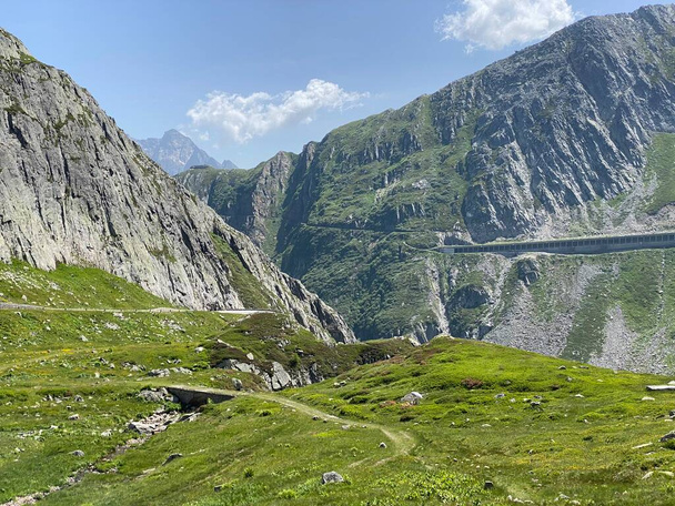 Letní atmosféra na vysokohorských švýcarských pastvinách v horské oblasti sv. Gottharda (Gotthardpass), Airolo - kanton Ticino (Tessin), Švýcarsko (Schweiz) - Fotografie, Obrázek