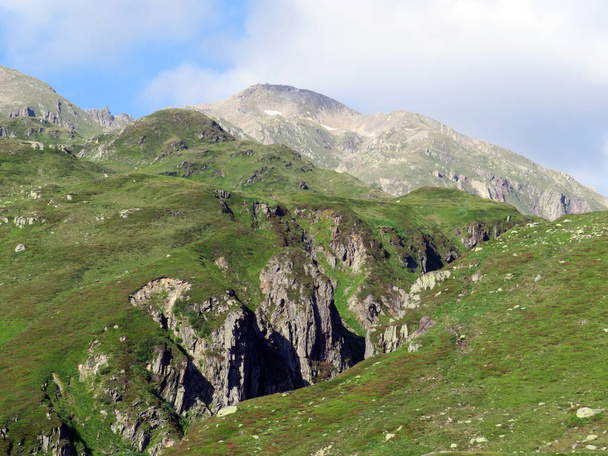 St. Gotthard Geçidi 'nin (Gotthard Geçidi) dağlık alanındaki yüksek dağlık İsviçre çayırlarında yaz atmosferi, Airolo - Ticino Kantonu (Tessin), İsviçre (Schweiz) - Fotoğraf, Görsel