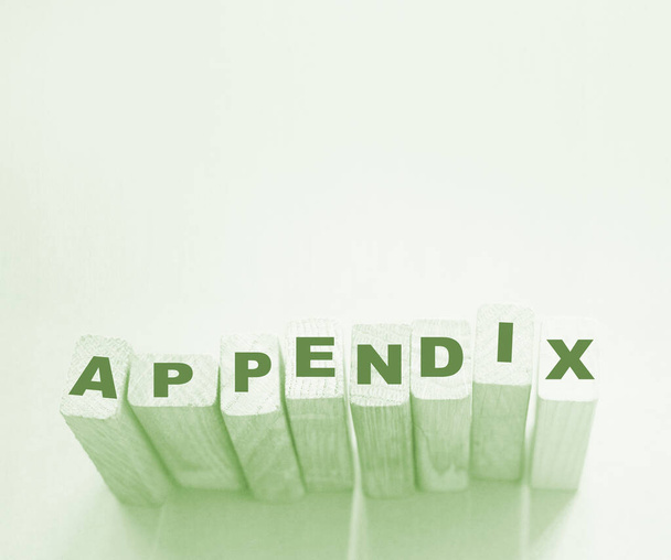 appendix word written on wood block. appendix text on table, concept. - Photo, image