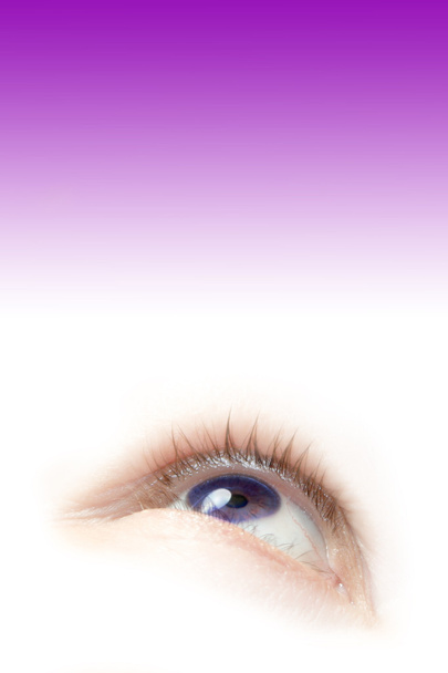 paarse oog - Foto, afbeelding
