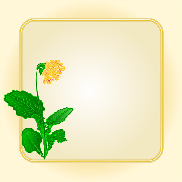 Spring flower primrose gold background  vector - Vector, Image
