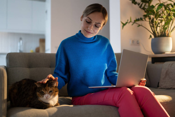 Female freelancer wearing blue sweater sits on sofa stroking domestic cat at sunset. Lonely woman holding notebook on laps admires cat and enjoys having pet friend in cozy apartment with potplants - Photo, Image