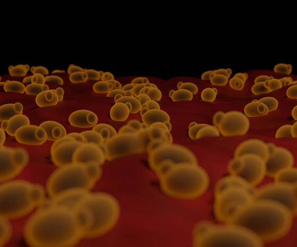 3d rendered Saccharomyces cerevisiae is yeast for bread and wine - Photo, Image