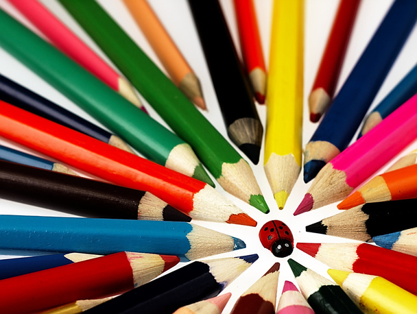 Coloré crayons en bois et coccinelle
. - Photo, image