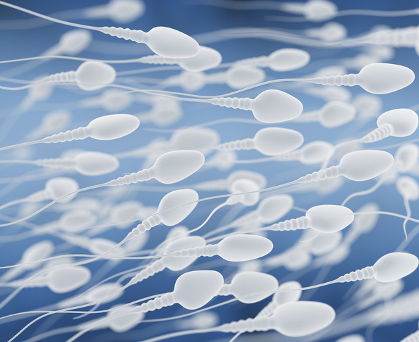 сперматозоїди
 - Фото, зображення