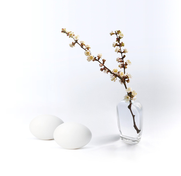 Egg with twig in vase - Fotografie, Obrázek