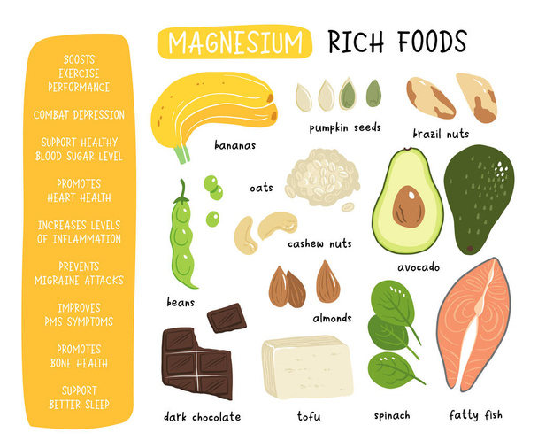 Magnesium vector stock illustration. Food products with a high content of the mineral. fatty fish, tofu, avocado, oats, spinach, almonds, cashew nuts, banana. Information poster. Food, diet. - Vector, Image