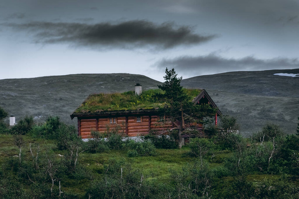 Beautiful wooden peat house with grass roof in the mountains of Norway - Фото, изображение