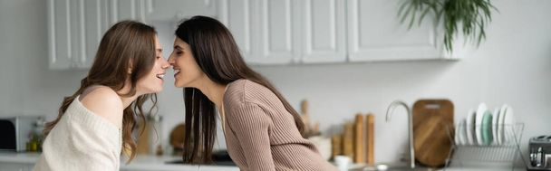 Boční pohled na lesbické ženy stojící nos k nosu v kuchyni, banner  - Fotografie, Obrázek