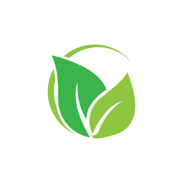 leaf  icon vector illustration logo design - Vector, imagen