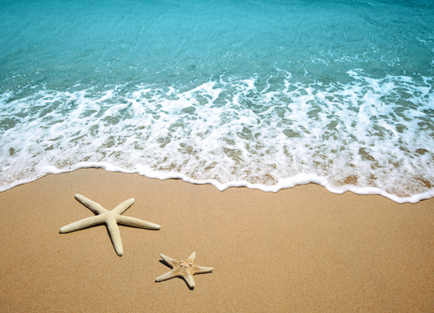 zeester op een strand zand - Foto, afbeelding